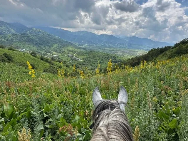 Beim Reiten durch ein Feld mit grünen Pflanzen und gelben Blumen in den Bergen.