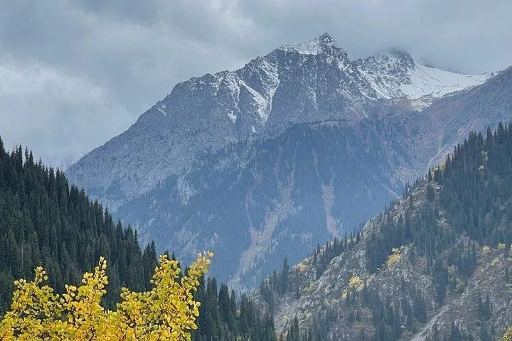 Una vista de picos nevados que se elevan sobre laderas boscosas y árboles otoñales.