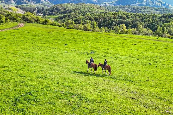 Dos personas montando a caballo por un campo de hierba verde brillante con árboles al fondo.